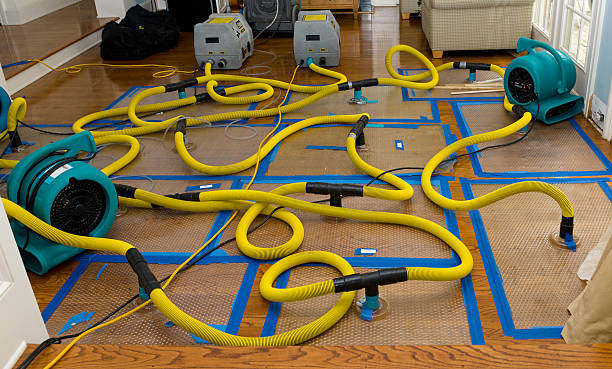 Professional Crawl Space Water Removal technician working in Byram, CT
